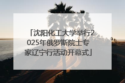 沈阳化工大学举行2025年俄罗斯院士专家辽宁行活动开幕式