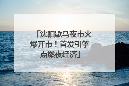 沈阳歇马夜市火爆开市！首发引擎点燃夜经济