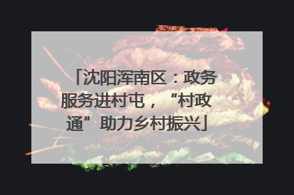 沈阳浑南区：政务服务进村屯，“村政通”助力乡村振兴