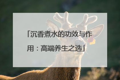 沉香煮水的功效与作用：高端养生之选