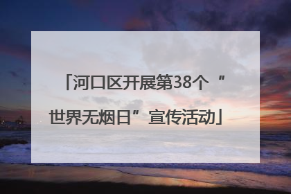 河口区开展第38个“世界无烟日”宣传活动