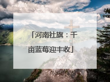河南社旗：千亩蓝莓迎丰收