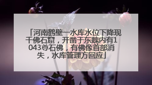 河南鹤壁一水库水位下降现千佛石窟，开凿于东魏内有1043尊石佛，有佛像首部消失，水库管理方回应
