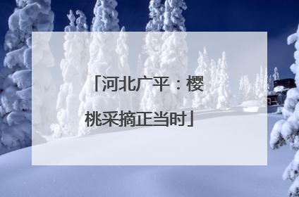 河北广平：樱桃采摘正当时