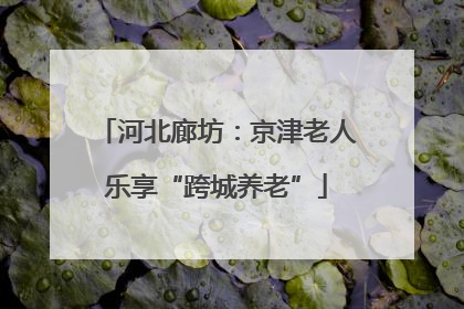 河北廊坊：京津老人乐享“跨城养老”