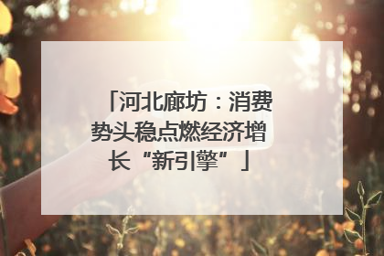 河北廊坊：消费势头稳点燃经济增长“新引擎”