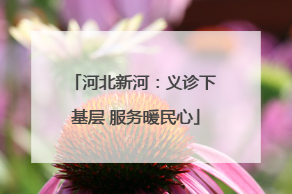 河北新河：义诊下基层 服务暖民心