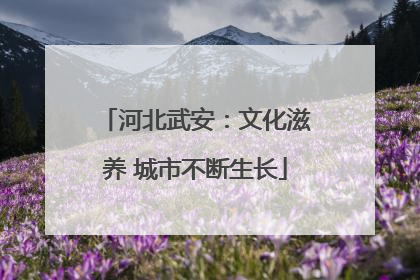 河北武安：文化滋养 城市不断生长