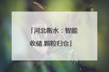 河北衡水：智能收储 颗粒归仓