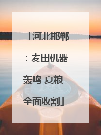 河北邯郸：麦田机器轰鸣 夏粮全面收割