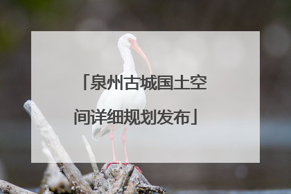 泉州古城国土空间详细规划发布