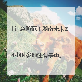 注意防范！湖南未来24小时多地还有暴雨