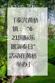 泰兴黄桥镇：“6·21国际乐器演奏日”活动在黄桥举办