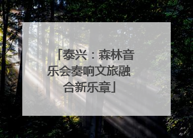 泰兴：森林音乐会奏响文旅融合新乐章