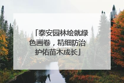 泰安园林绘就绿色画卷，精细防治护佑苗木成长