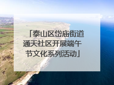 泰山区岱庙街道通天社区开展端午节文化系列活动