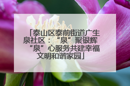 泰山区泰前街道广生泉社区：“泉”聚银辉“泉”心服务共建幸福文明和谐家园