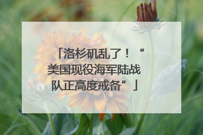 洛杉矶乱了！“美国现役海军陆战队正高度戒备”
