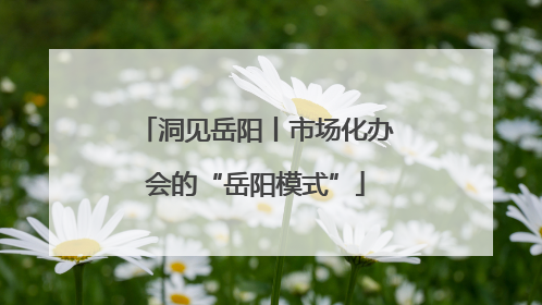 洞见岳阳丨市场化办会的“岳阳模式”