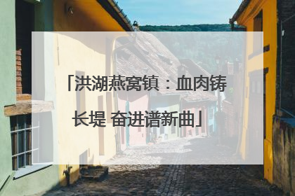 洪湖燕窝镇：血肉铸长堤 奋进谱新曲
