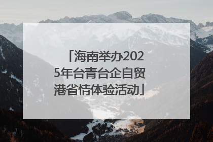 海南举办2025年台青台企自贸港省情体验活动