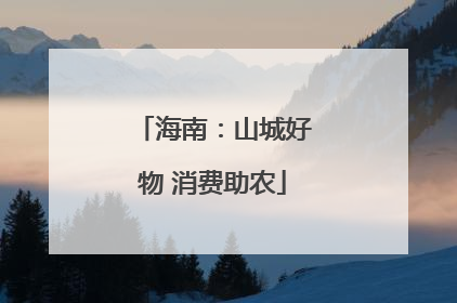 海南：山城好物 消费助农