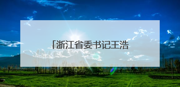 浙江省委书记王浩：对顶风违纪行为从严从重从快处理