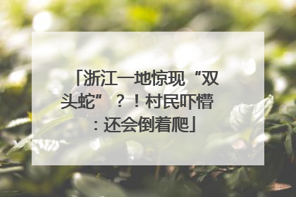 浙江一地惊现“双头蛇”？！村民吓懵：还会倒着爬