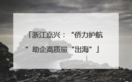 浙江嘉兴:“侨力护航”助企高质量“出海”