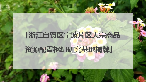浙江自贸区宁波片区大宗商品资源配置枢纽研究基地揭牌