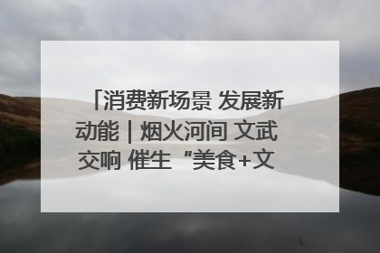 消费新场景 发展新动能｜烟火河间 文武交响 催生“美食+文化”消费新场景