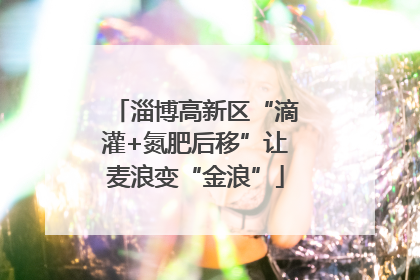 淄博高新区“滴灌+氮肥后移”让麦浪变“金浪”