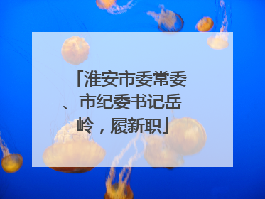 淮安市委常委、市纪委书记岳岭，履新职