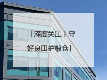 深度关注丨守好良田护粮仓