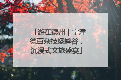 游在德州｜宁津德百杂技蟋蟀谷，沉浸式文旅盛宴