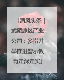 清风头条｜武陵源区产业公司：多措并举推进警示教育走深走实