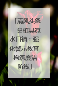 清风头条｜桑植县凉水口镇：强化警示教育 构筑廉洁防线