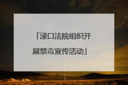 渌口法院组织开展禁毒宣传活动