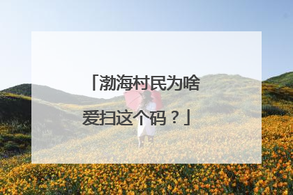 渤海村民为啥爱扫这个码？