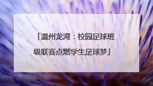 温州龙湾：校园足球班级联赛点燃学生足球梦