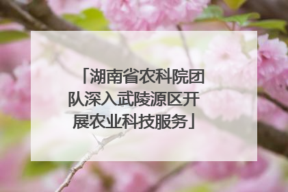 湖南省农科院团队深入武陵源区开展农业科技服务