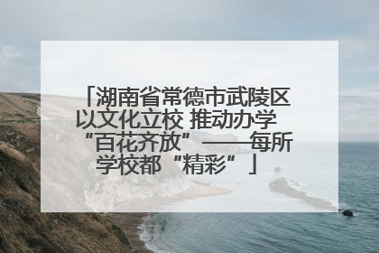 湖南省常德市武陵区以文化立校 推动办学“百花齐放”——每所学校都“精彩”