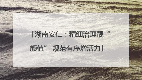 湖南安仁:精细治理靓“颜值” 规范有序增活力