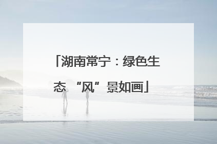 湖南常宁：绿色生态 “风”景如画
