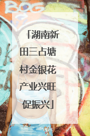 湖南新田三占塘村金银花产业兴旺促振兴