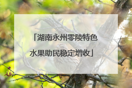 湖南永州零陵特色水果助民稳定增收