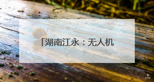 湖南江永：无人机“展翅”农田 开启高效农业新篇章