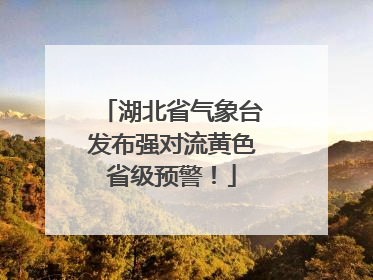 湖北省气象台发布强对流黄色省级预警！