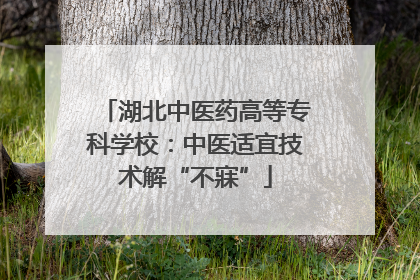 湖北中医药高等专科学校：中医适宜技术解“不寐”