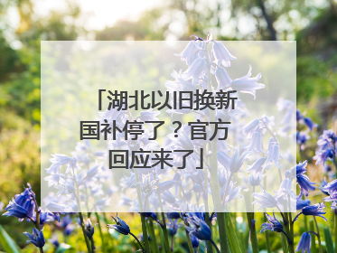 湖北以旧换新国补停了？官方回应来了